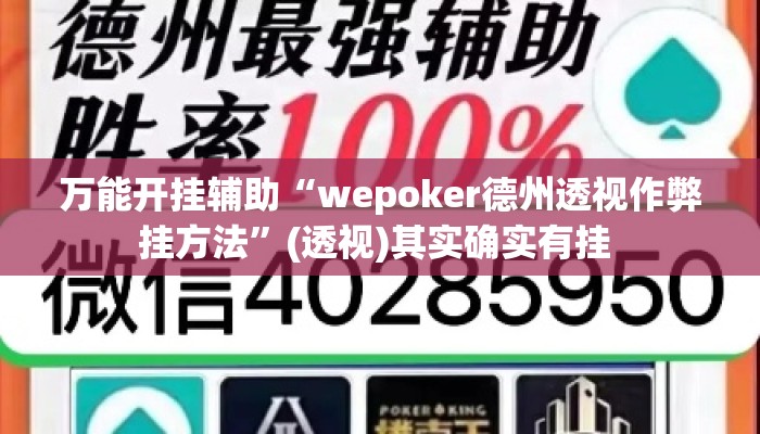 万能开挂辅助“wepoker德州透视作弊挂方法	”(透视)其实确实有挂 