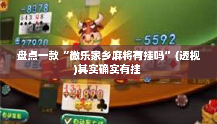 盘点一款“微乐家乡麻将有挂吗”(透视)其实确实有挂 