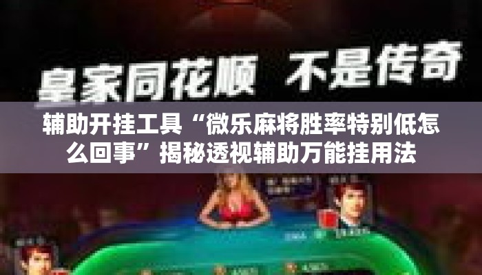 辅助开挂工具“微乐麻将胜率特别低怎么回事”揭秘透视辅助万能挂用法