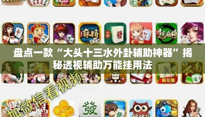 盘点一款“大头十三水外卦辅助神器”揭秘透视辅助万能挂用法