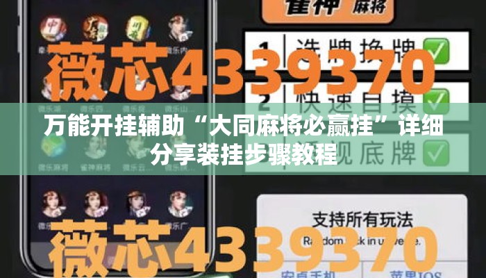 万能开挂辅助“大同麻将必赢挂”详细分享装挂步骤教程