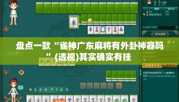 盘点一款“雀神广东麻将有外卦神器吗	”(透视)其实确实有挂 