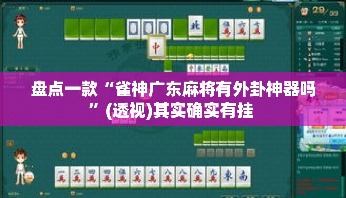 盘点一款“雀神广东麻将有外卦神器吗”(透视)其实确实有挂 