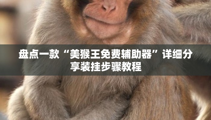 盘点一款“美猴王免费辅助器”详细分享装挂步骤教程