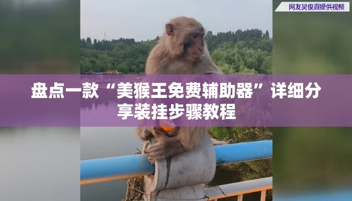 盘点一款“美猴王免费辅助器”详细分享装挂步骤教程