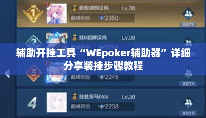 辅助开挂工具“WEpoker辅助器”详细分享装挂步骤教程