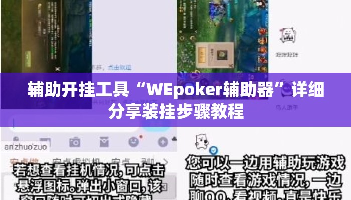 辅助开挂工具“WEpoker辅助器”详细分享装挂步骤教程