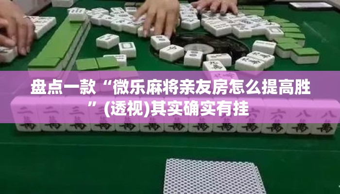 盘点一款“微乐麻将亲友房怎么提高胜	”(透视)其实确实有挂 