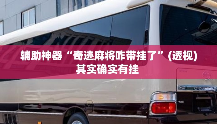 辅助神器“奇迹麻将咋带挂了”(透视)其实确实有挂 