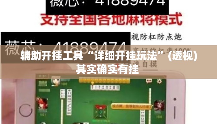 辅助开挂工具“详细开挂玩法	”(透视)其实确实有挂 