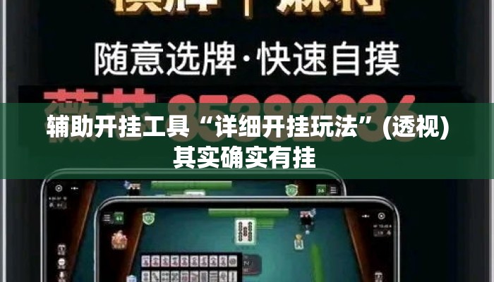 辅助开挂工具“详细开挂玩法	”(透视)其实确实有挂 