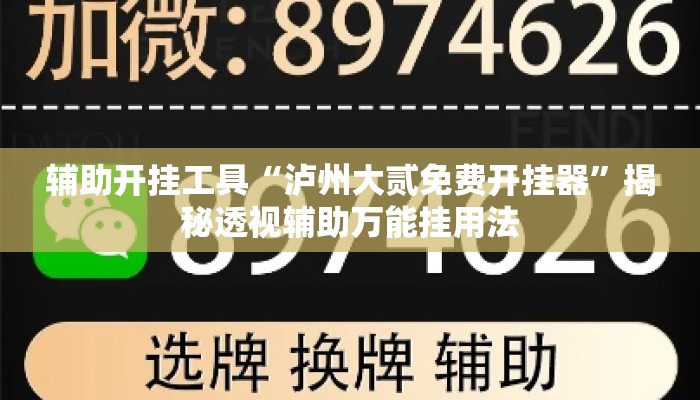 辅助开挂工具“泸州大贰免费开挂器”揭秘透视辅助万能挂用法