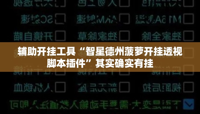 辅助开挂工具“智星德州菠萝开挂透视脚本插件”其实确实有挂