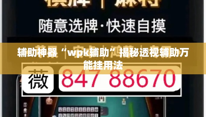 辅助神器“wpk辅助”揭秘透视辅助万能挂用法