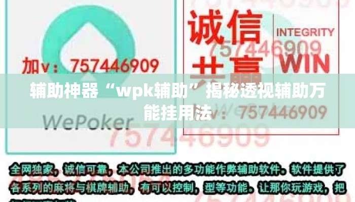 辅助神器“wpk辅助	”揭秘透视辅助万能挂用法