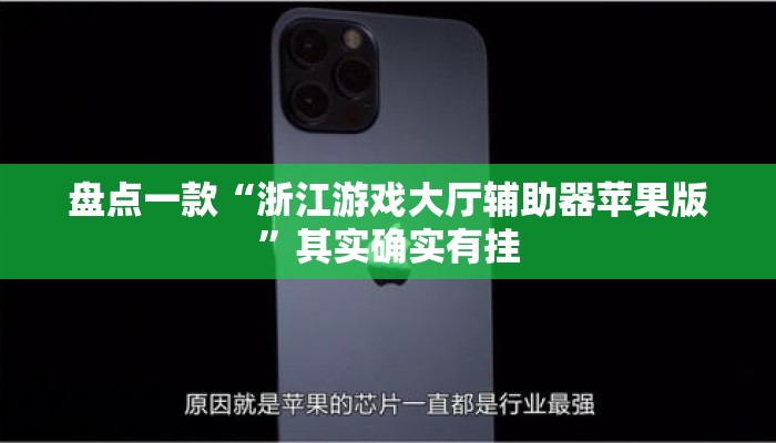 盘点一款“浙江游戏大厅辅助器苹果版”其实确实有挂