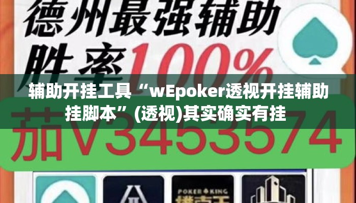 辅助开挂工具“wEpoker透视开挂辅助挂脚本	”(透视)其实确实有挂 