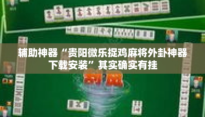 辅助神器“贵阳微乐捉鸡麻将外卦神器下载安装	”其实确实有挂