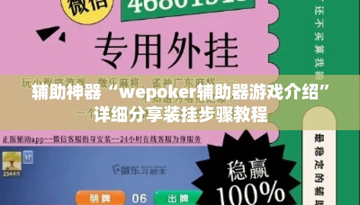 辅助神器“wepoker辅助器游戏介绍”详细分享装挂步骤教程