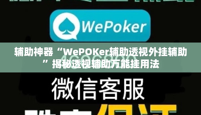 辅助神器“WePOKer辅助透视外挂辅助”揭秘透视辅助万能挂用法