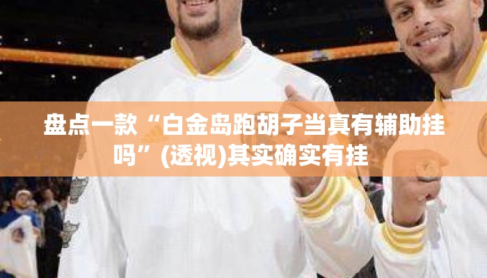 盘点一款“白金岛跑胡子当真有辅助挂吗”(透视)其实确实有挂 