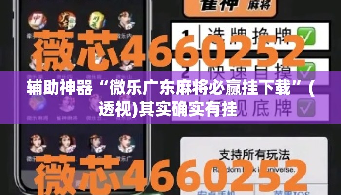 辅助神器“微乐广东麻将必赢挂下载	”(透视)其实确实有挂 