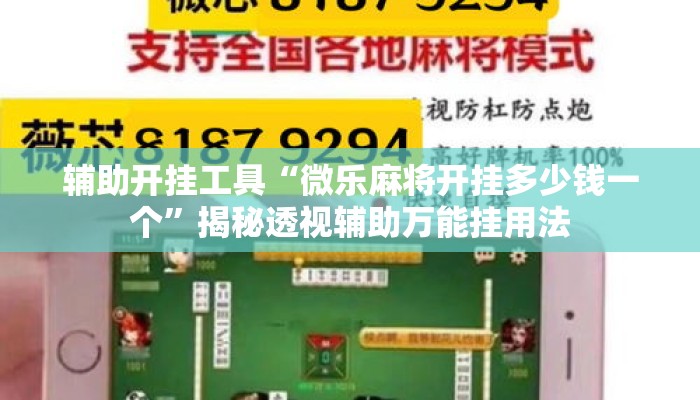 辅助开挂工具“微乐麻将开挂多少钱一个	”揭秘透视辅助万能挂用法