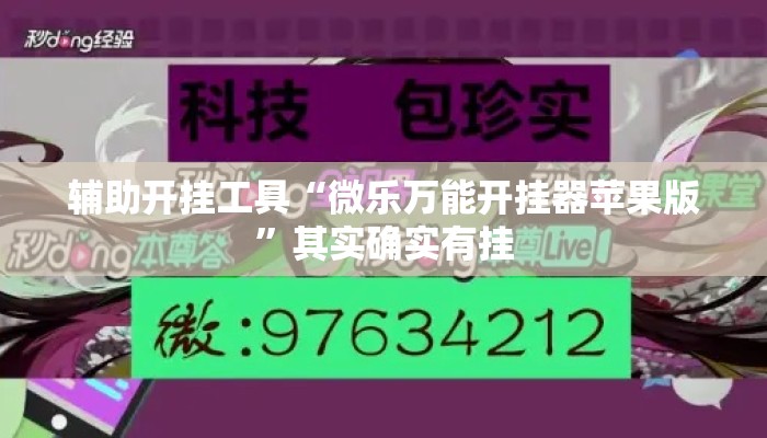 辅助开挂工具“微乐万能开挂器苹果版”其实确实有挂
