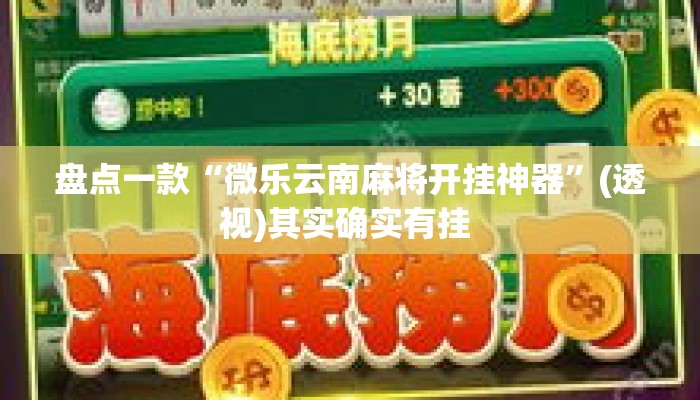 盘点一款“微乐云南麻将开挂神器”(透视)其实确实有挂 