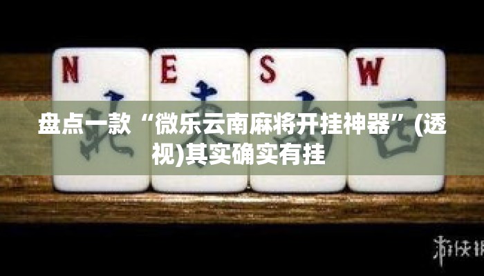 盘点一款“微乐云南麻将开挂神器”(透视)其实确实有挂 