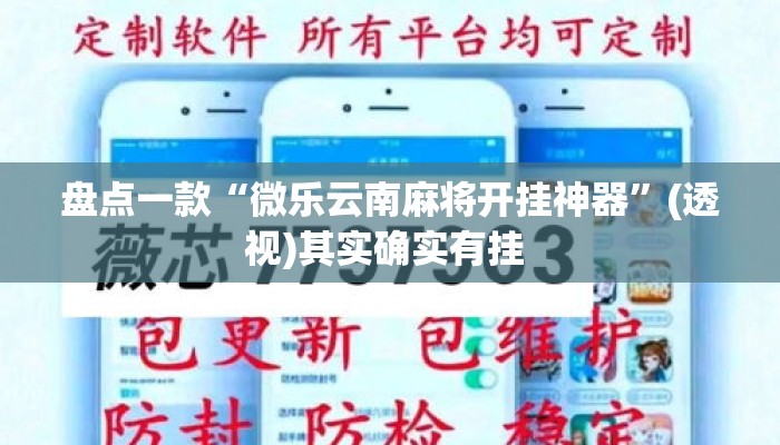 盘点一款“微乐云南麻将开挂神器	”(透视)其实确实有挂 
