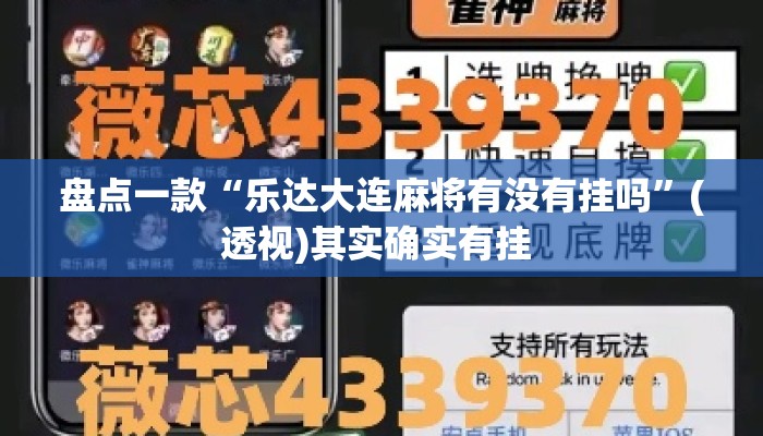 盘点一款“乐达大连麻将有没有挂吗”(透视)其实确实有挂 