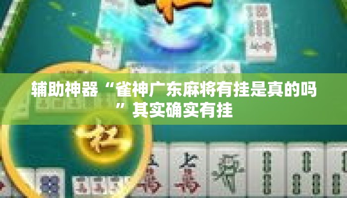 辅助神器“雀神广东麻将有挂是真的吗”其实确实有挂