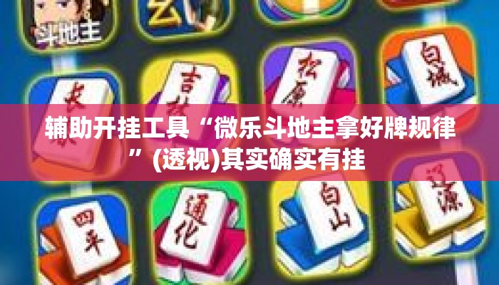 辅助开挂工具“微乐斗地主拿好牌规律”(透视)其实确实有挂 