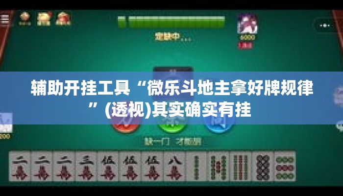 辅助开挂工具“微乐斗地主拿好牌规律”(透视)其实确实有挂 