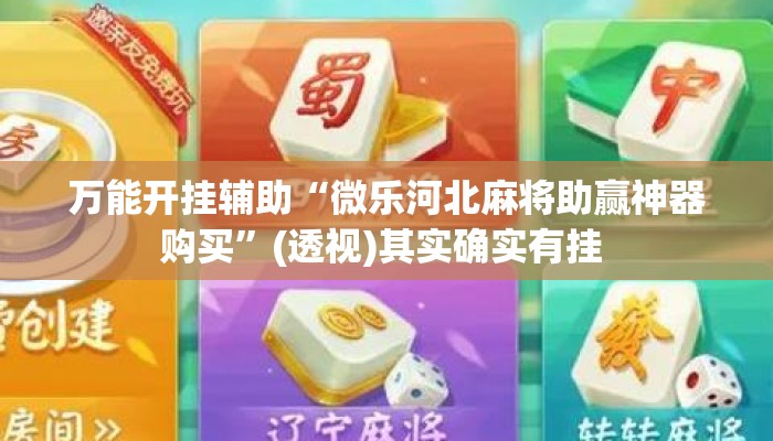 万能开挂辅助“微乐湖南麻将必赢神器免费”详细分享装挂步骤教程