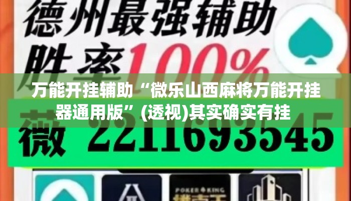 万能开挂辅助“微乐山西麻将万能开挂器通用版”(透视)其实确实有挂 