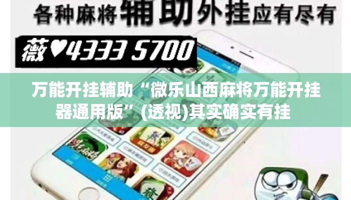 万能开挂辅助“微乐山西麻将万能开挂器通用版”(透视)其实确实有挂 