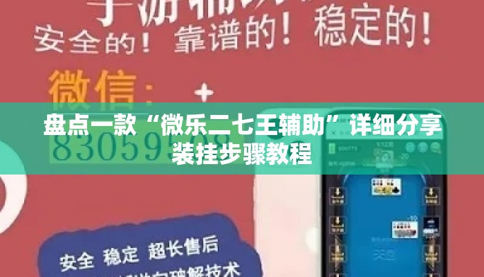 盘点一款“微乐二七王辅助”详细分享装挂步骤教程