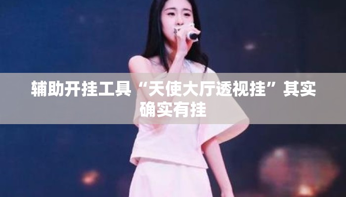 辅助开挂工具“天使大厅透视挂”其实确实有挂
