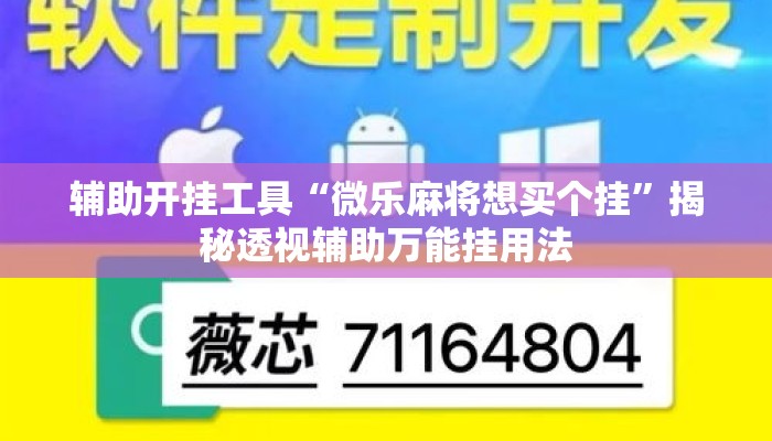辅助开挂工具“微乐麻将想买个挂	”揭秘透视辅助万能挂用法