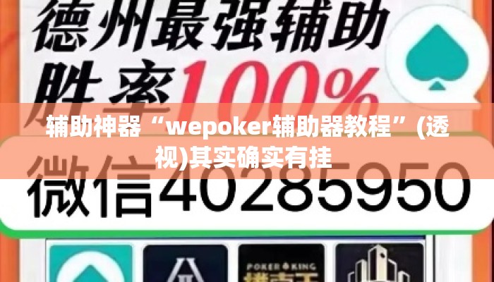 辅助神器“wepoker辅助器教程”(透视)其实确实有挂 