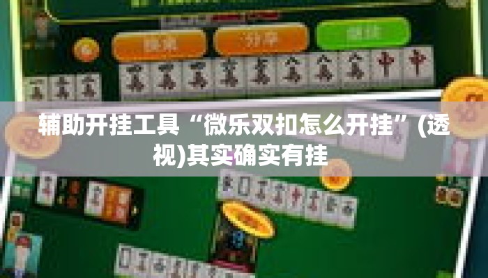 辅助开挂工具“微乐双扣怎么开挂”(透视)其实确实有挂 