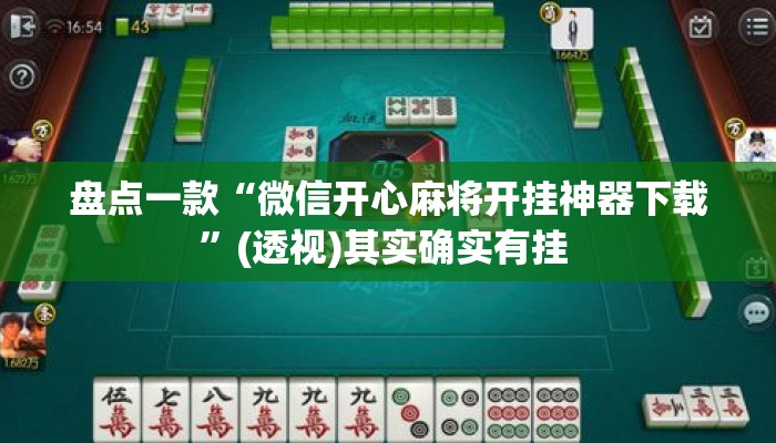 盘点一款“微信开心麻将开挂神器下载	”(透视)其实确实有挂 