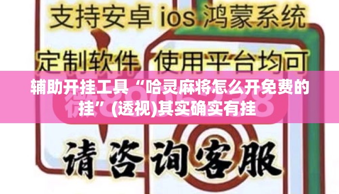 辅助开挂工具“哈灵麻将怎么开免费的挂	”(透视)其实确实有挂 