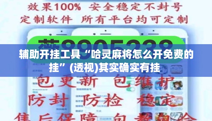 辅助开挂工具“哈灵麻将怎么开免费的挂	”(透视)其实确实有挂 