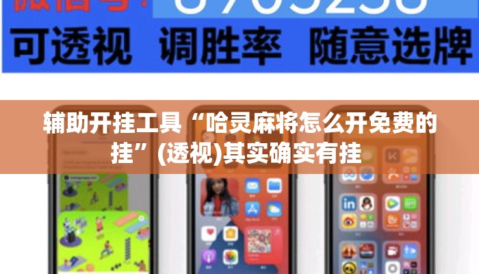 辅助开挂工具“哈灵麻将怎么开免费的挂”(透视)其实确实有挂 