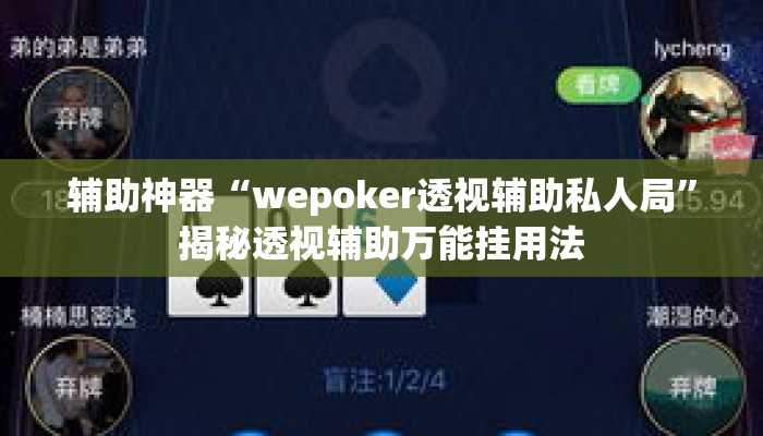 辅助神器“wepoker透视辅助私人局”揭秘透视辅助万能挂用法