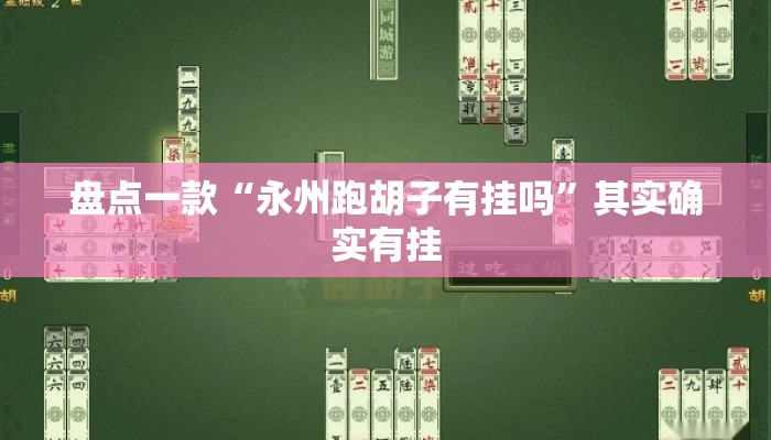盘点一款“永州跑胡子有挂吗”其实确实有挂