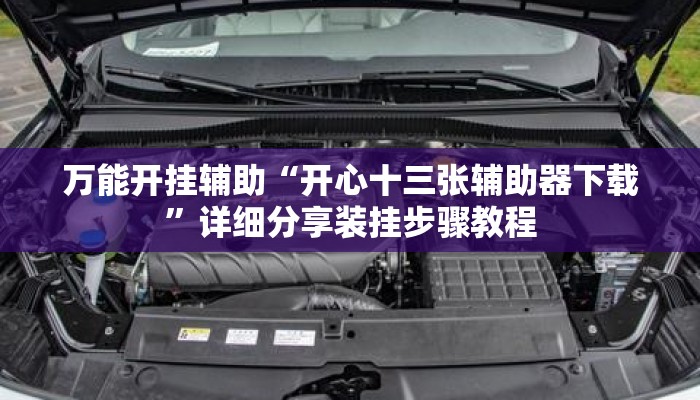 万能开挂辅助“开心十三张辅助器下载	”详细分享装挂步骤教程